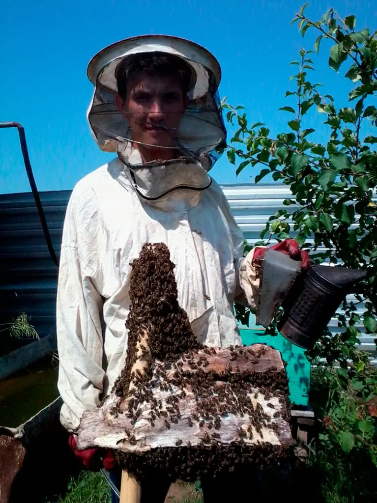 Пенополиуретановые ульи